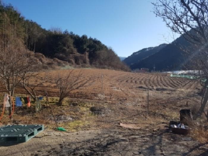 물건 대표 사진