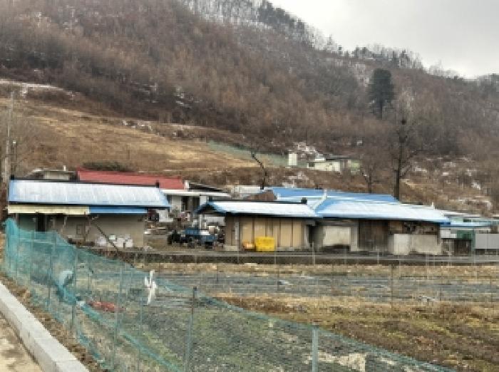 물건 대표 사진
