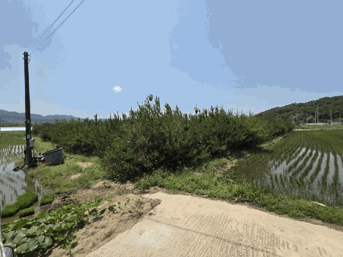 물건 대표 사진