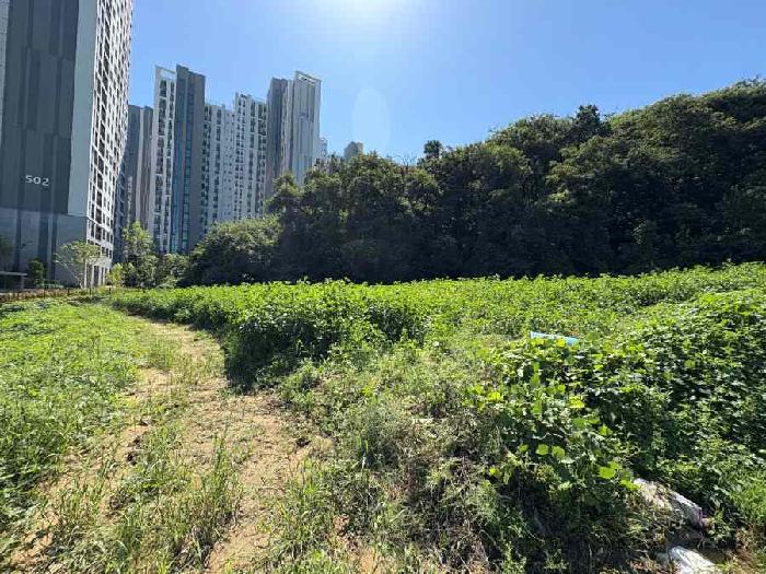 물건 대표 사진