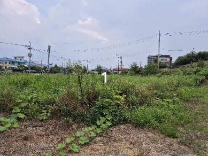 물건 대표 사진