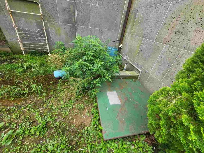 물건 대표 사진