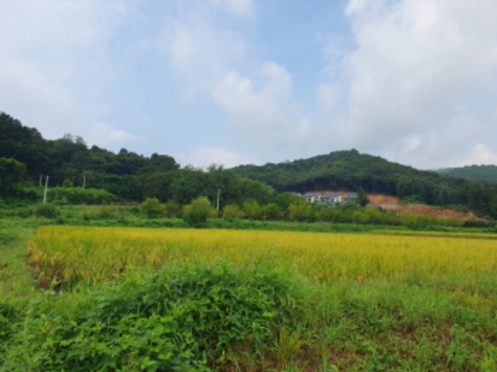 물건 대표 사진