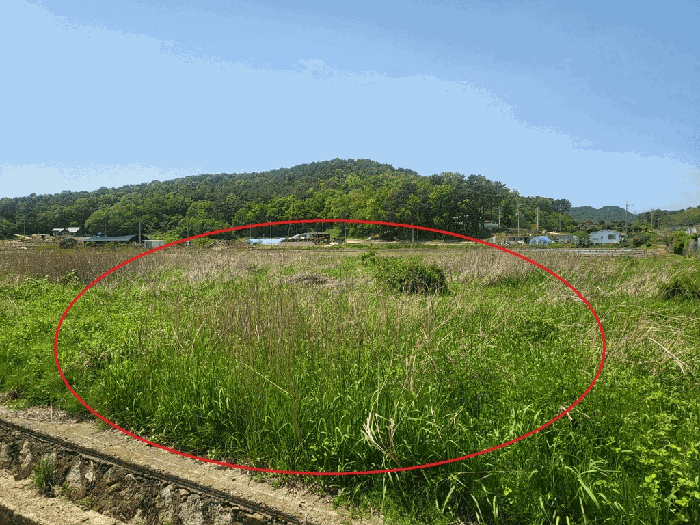 물건 대표 사진