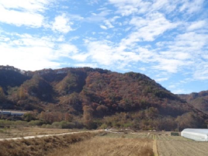 물건 대표 사진