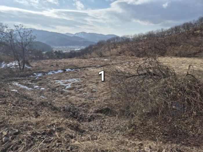 물건 대표 사진