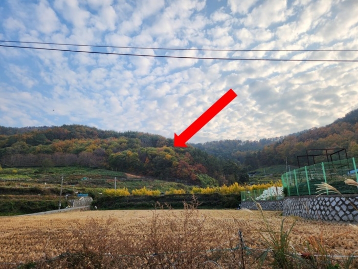 물건 대표 사진